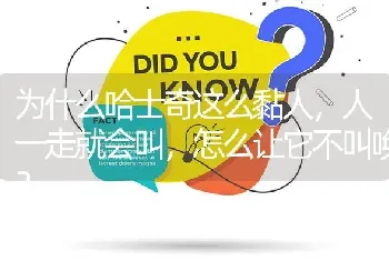 为什么哈士奇这么黏人，人一走就会叫，怎么让它不叫唤？