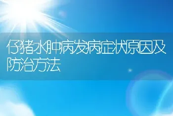 仔猪水肿病发病症状原因及防治方法