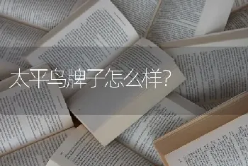 太平鸟牌子怎么样？