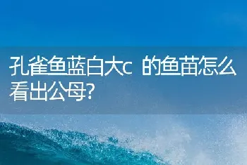 血鹦鹉鱼为什么会把自己的孩子吃掉？