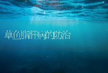 龙胆石斑鱼的生物学特性及养殖技术