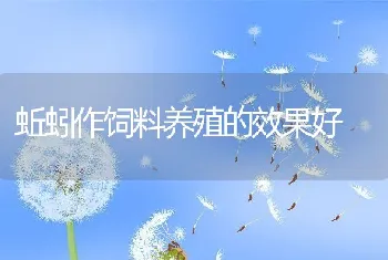 药剂学常用剂型（一）