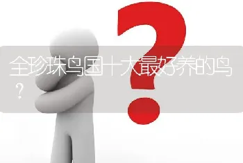 全珍珠鸟国十大最好养的鸟？