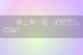 一个月大的猫发出咕咕咕的声音？