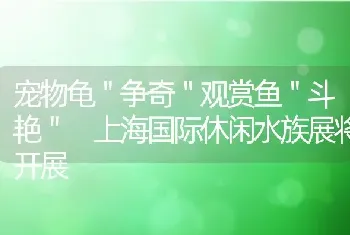 宠物龟＂争奇＂观赏鱼＂斗艳＂ 上海国际休闲水族展将开展