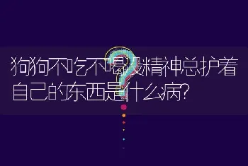 狗狗不吃不喝没精神总护着自己的东西是什么病？