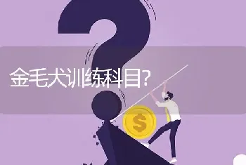 金毛犬训练科目？