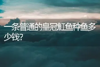 一条普通的皇冠魟鱼种鱼多少钱？