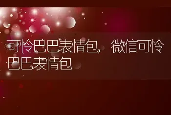 疥螨怎么治疗，疥螨怎么治疗好得快