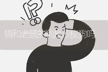 猫和老鼠的狗是沙皮狗吗