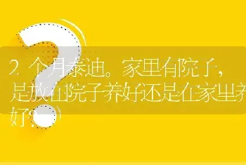 2个月泰迪。家里有院子，是放在院子养好还是在家里养好？