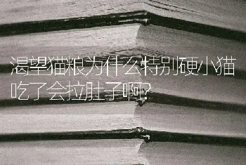 渴望猫粮为什么特别硬小猫吃了会拉肚子啊？