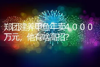 郑团建养甲鱼年卖4000万元，他有啥高招？