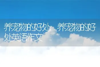 养宠物的好处，养宠物的好处英语作文