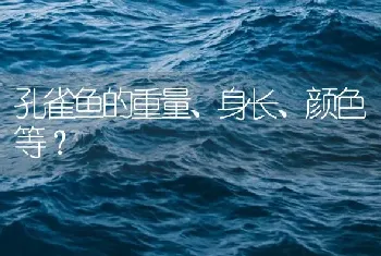 黑食水虎鱼好养吗？