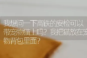 我想问一下高铁的安检可以带宠物猫上吗？我把猫放在宠物背包里面？