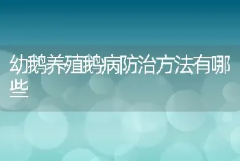 幼鹅养殖鹅病防治方法有哪些