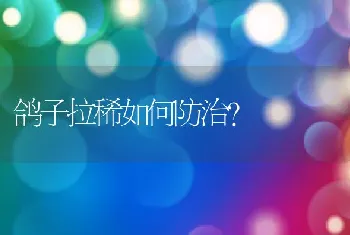 鸽子拉稀如何防治？