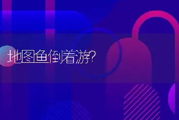 龙睛有几个颜色？