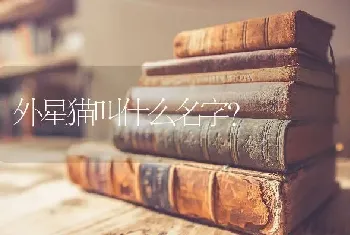 外星猫叫什么名字？