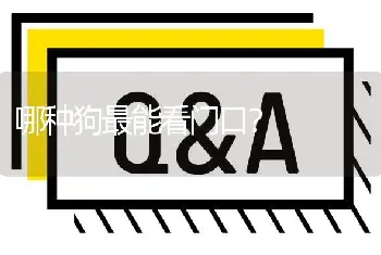 哪种狗最能看门口？