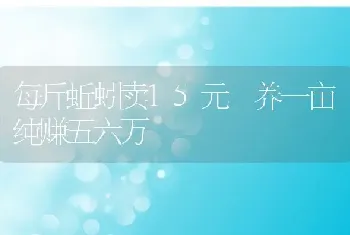 每斤蚯蚓卖15元 养一亩纯赚五六万