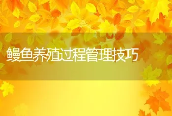 鳗鱼养殖过程管理技巧