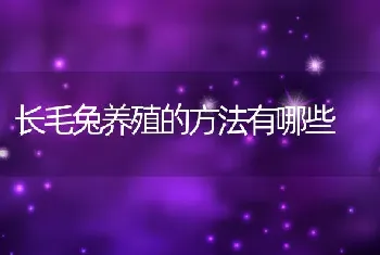 大学生村官孙立呈养殖水蛭带群众走上致富路