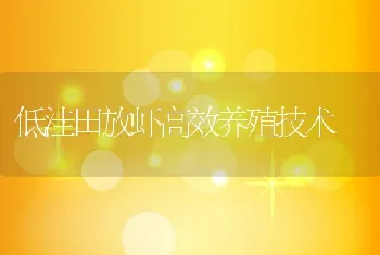 低洼田放虾高效养殖技术