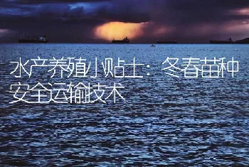 水产养殖小贴士：冬春苗种安全运输技术