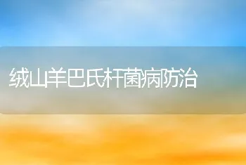 绒山羊巴氏杆菌病防治