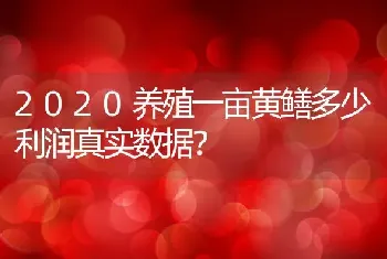 2020养殖一亩黄鳝多少利润真实数据？