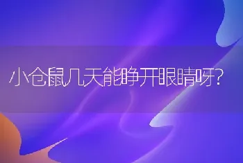 小仓鼠几天能睁开眼睛呀？