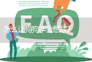 怎么让狗狗学会憋尿？