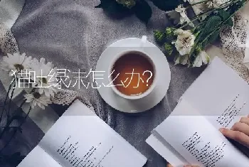 猫吐绿沫怎么办？