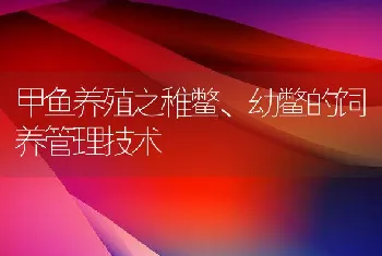 甲鱼养殖之稚鳖、幼鳖的饲养管理技术