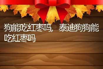 狗能吃红枣吗，泰迪狗狗能吃红枣吗