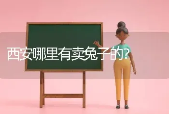 西安哪里有卖兔子的？