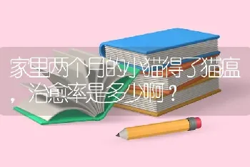 家里两个月的小猫得了猫瘟，治愈率是多少啊？