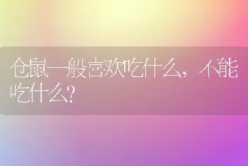 仓鼠一般喜欢吃什么，不能吃什么？