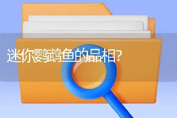 迷你鹦鹉鱼的品相？