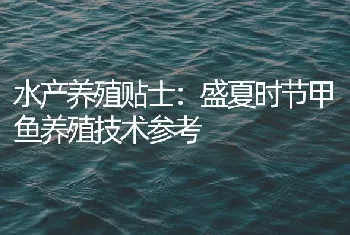 水产养殖贴士：盛夏时节甲鱼养殖技术参考