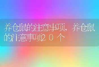 养仓鼠的注意事项，养仓鼠的注意事项20个