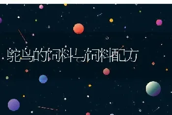 鸵鸟的饲料与饲料配方