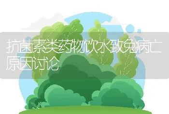 貉皮夏季储存技巧