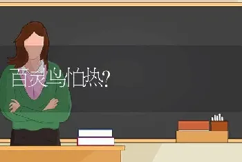 百灵鸟怕热？