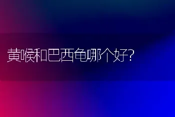 黄喉和巴西龟哪个好？