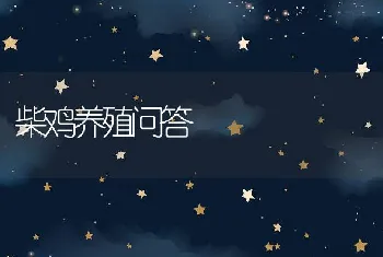 柴鸡养殖问答