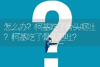 怎么办？柯基吃了骨头呕吐？柯基吃了骨头呕吐？