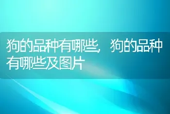 狗的品种有哪些，狗的品种有哪些及图片